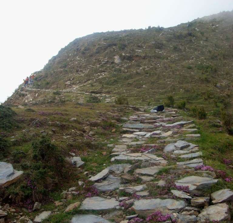 Aadi Himani Chamunda Temple Trek: This is how I remember Dharamsala ...