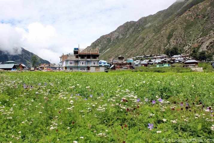 Chitkul, Kinnaur