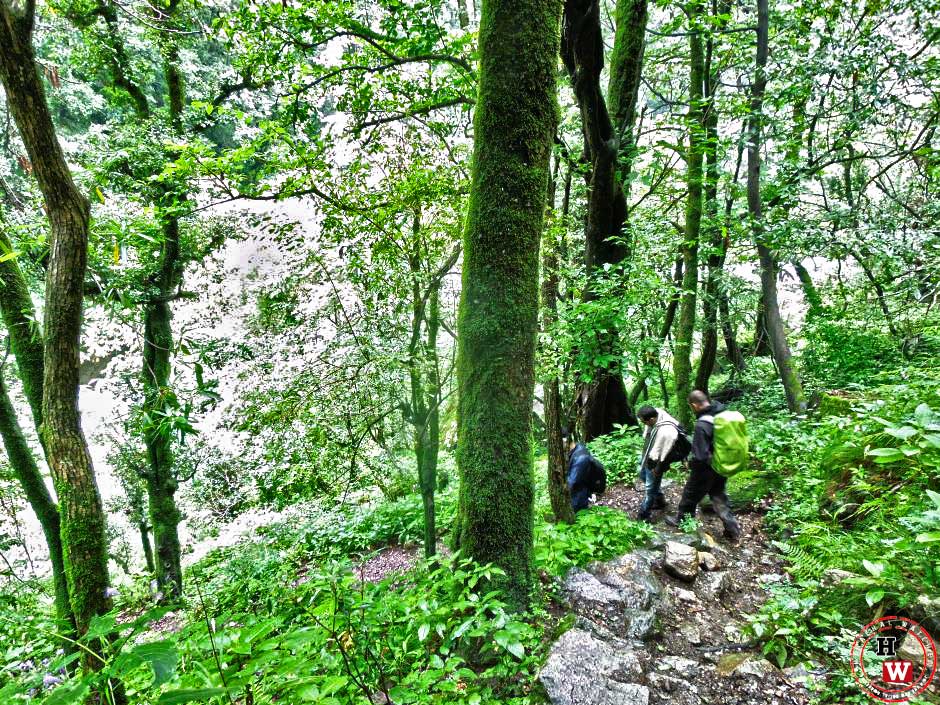 Journey starts at Jaon and Singhad