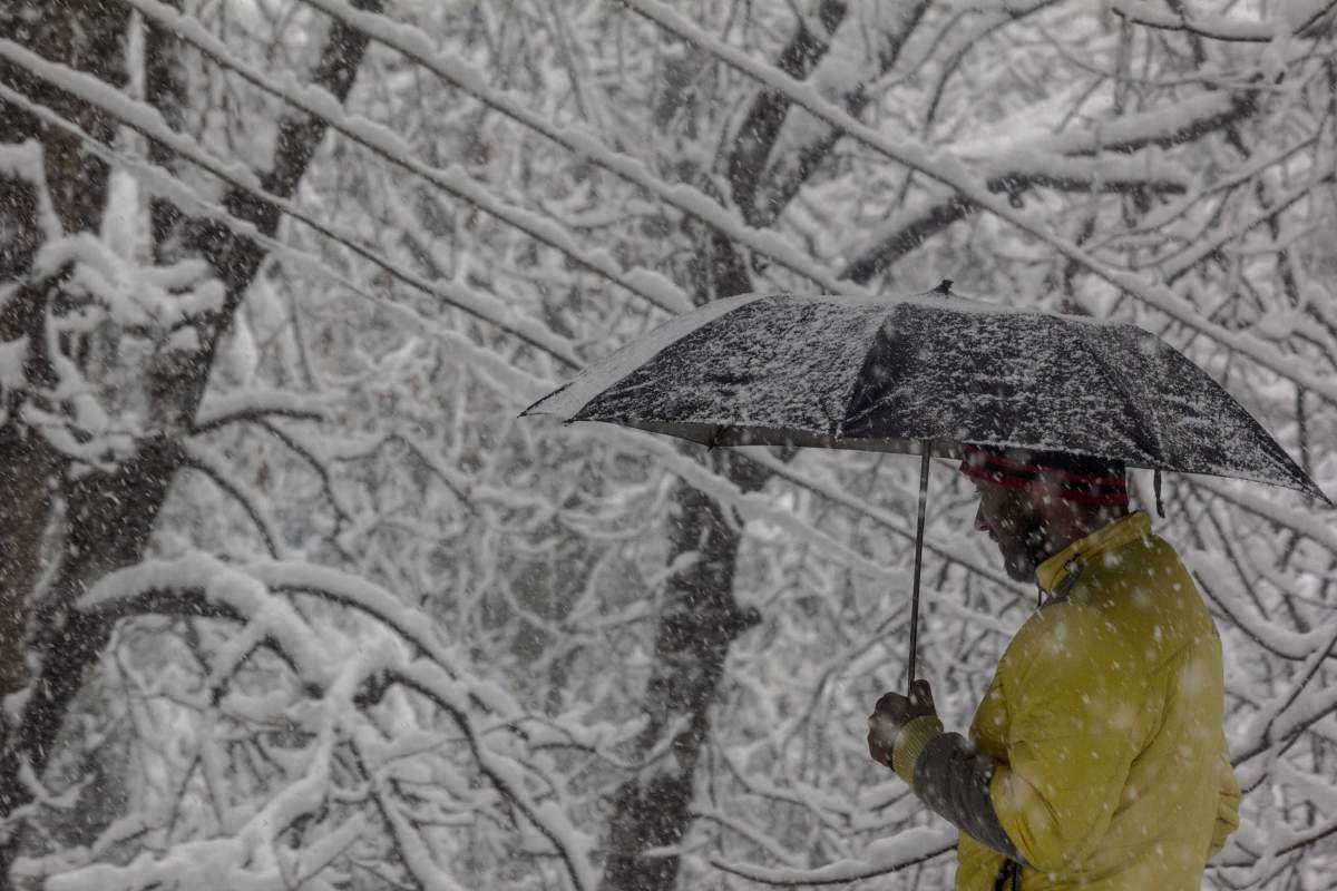 Shimla Snowfall 2016