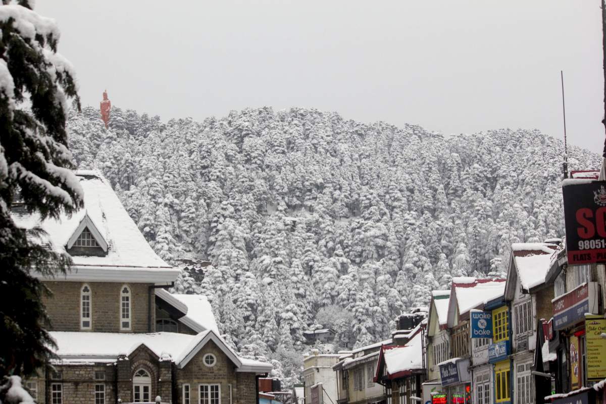 Shimla Snowfall 2016