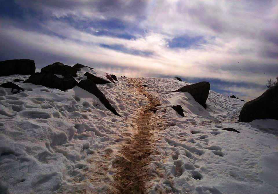 Triund Trek_4