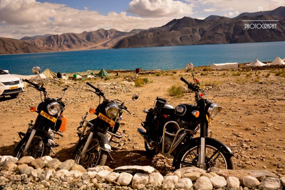 Our loyal friends enjoying beautiful lakeside view