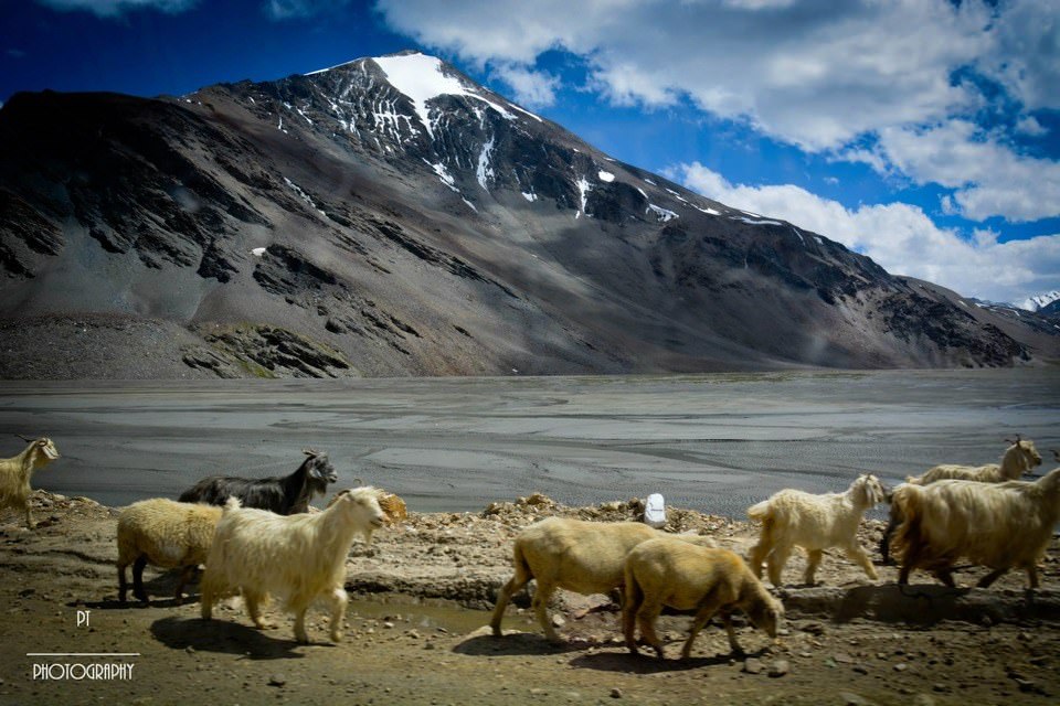 Leh Ladakh bike trip_2