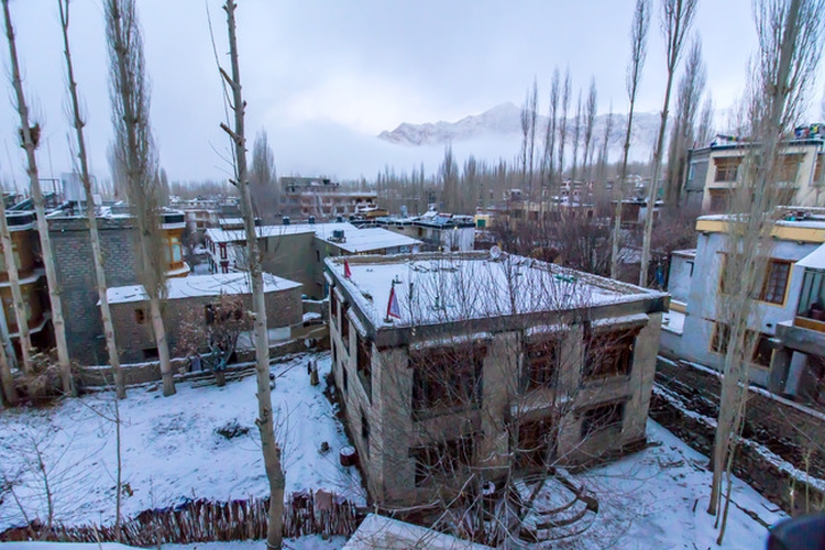 snow covered Leh