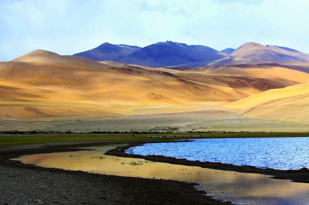 Tso Moriri Lake, Ladakh, India