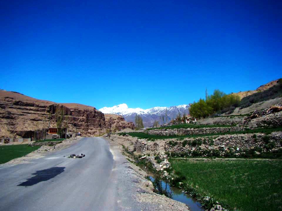 Green patches in barren land